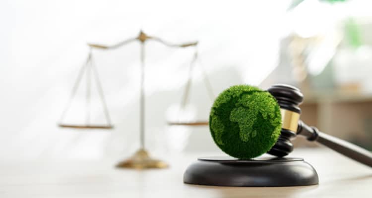 Environmental Law Basics for Regulatory Compliance Protection