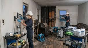 5 Best Fire Damage Restoration Companies in Montpelier - Discover careful cleanup and rebuilding after a fire